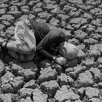 O projeto de extensão VGD É O BICHO contribui com a recuperação da fauna do Pantanal.