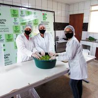Laboratório de processamento de alimentos 4